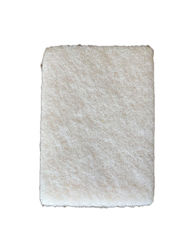 10 tamponges grand modèle blanc
