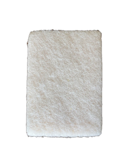 10 tamponges grand modèle blanc