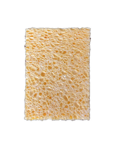 10 tamponges grand modèle blanc