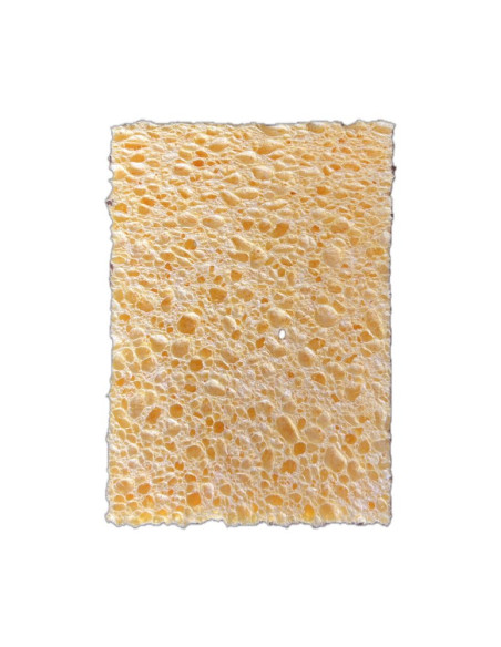 10 tamponges grand modèle blanc