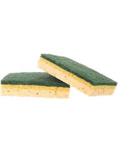 10 tamponges grand modèle vert Pro 2